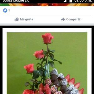 Meet your Posher, Mariana